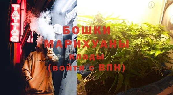 индика Нефтегорск