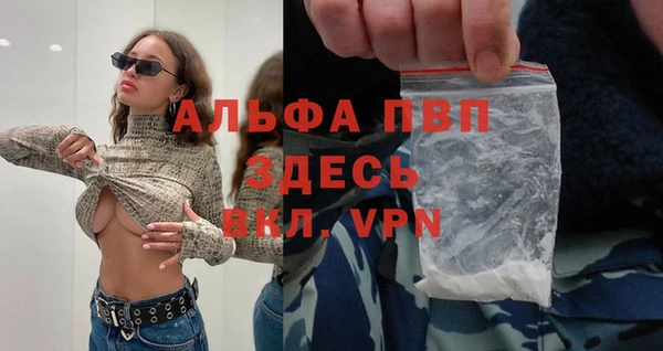индика Нефтегорск